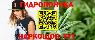 метадон Новозыбков