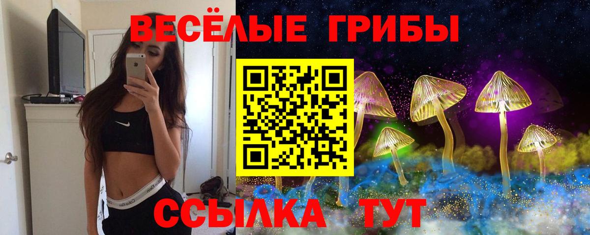 Галлюциногенные грибы Cubensis Химки