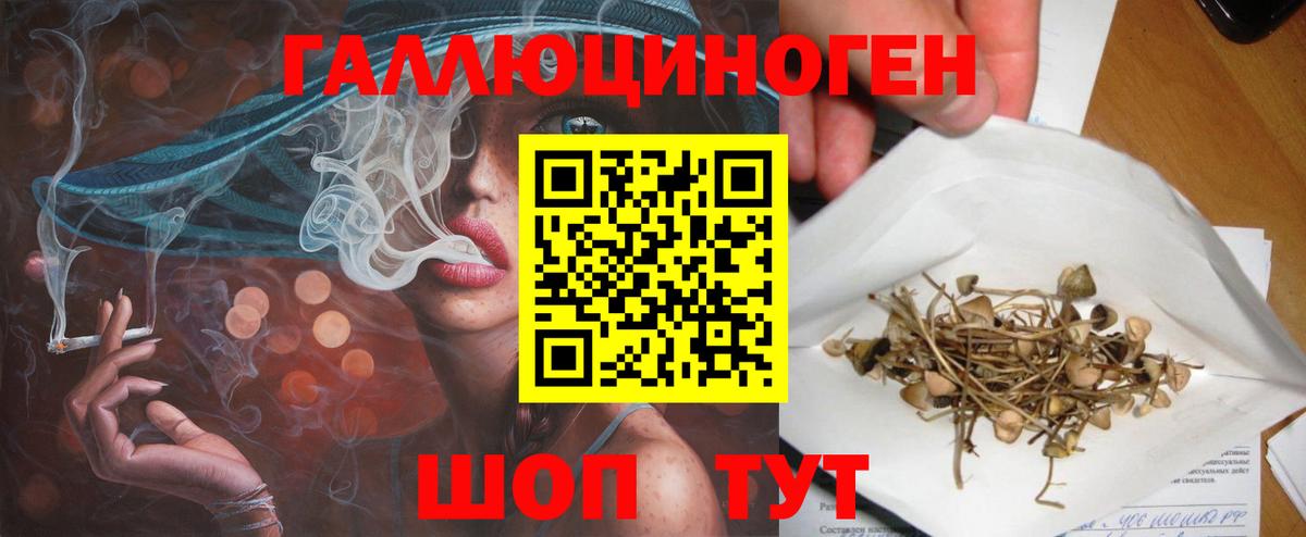 Псилоцибиновые грибы ЛСД  Вход с VPN  Химки 