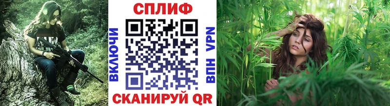 Шишки марихуана THC 21%  Химки 